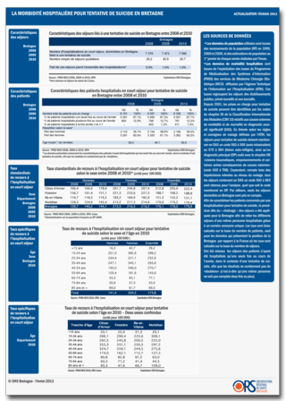FICHE-MORBIDITE-2013
