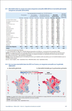 Fiche-mortalite