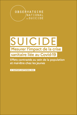 Vignette-rapport-suicide