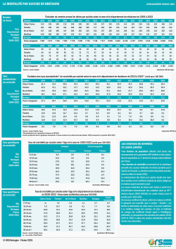 FICHE-MORTALITE-SUICIDE-BRETAGNE-FEVRIER-2025